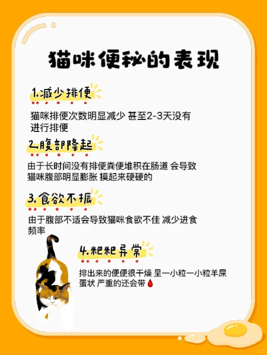 猫咪便秘怎么办⁉️攻略我放这啦