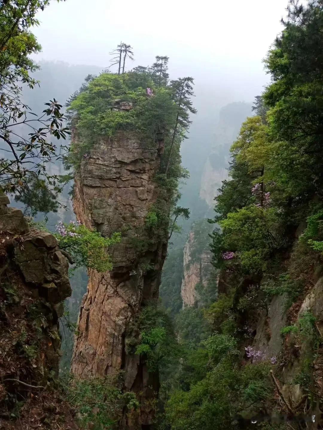 旅行随手拍