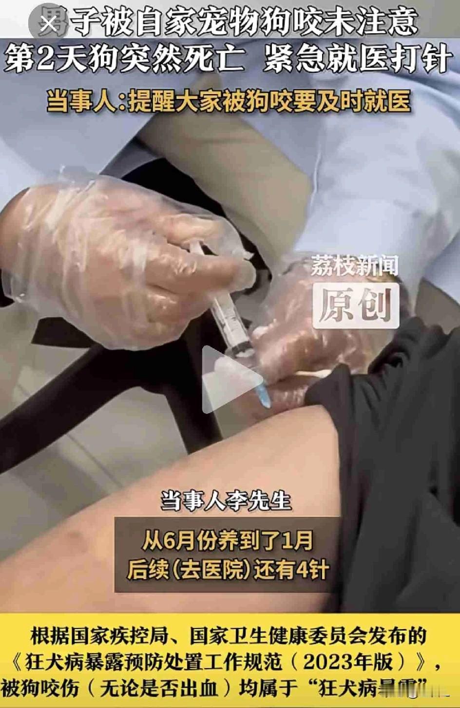 主人不过寻常用手摸了一下自家狗，接下来发生的事让他吓破胆！网友：1600元买个教