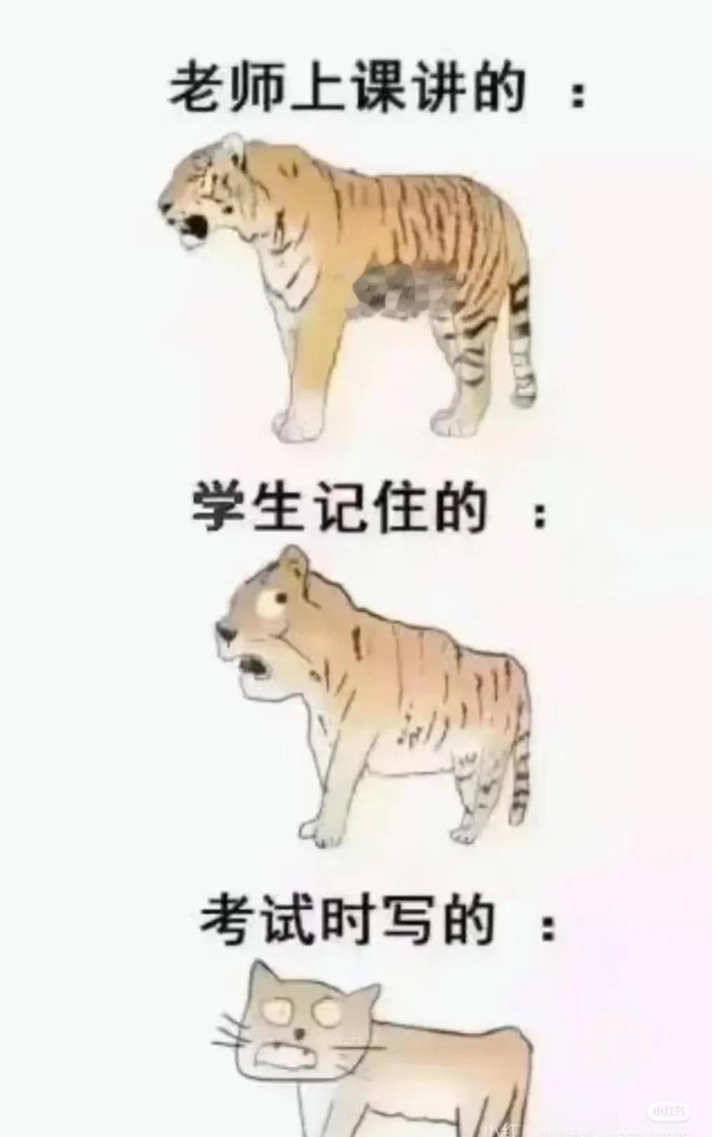 梗图爆料
当种田文照进现实 阿凡达3讨论团 负鼠表情包 种田文里过春天 此图有梗