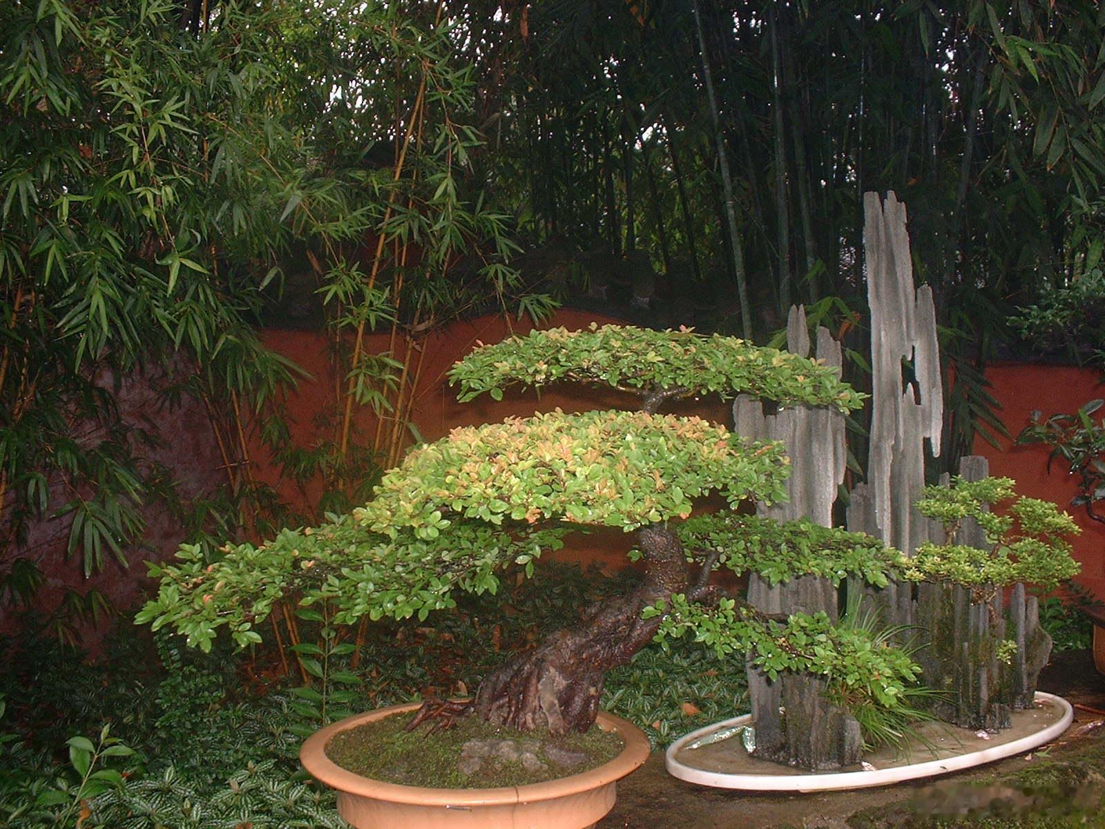 曾记否？那年秋天川藏之行的记忆。（续二）尽管相机像素不高，但照片还是比手机拍摄的