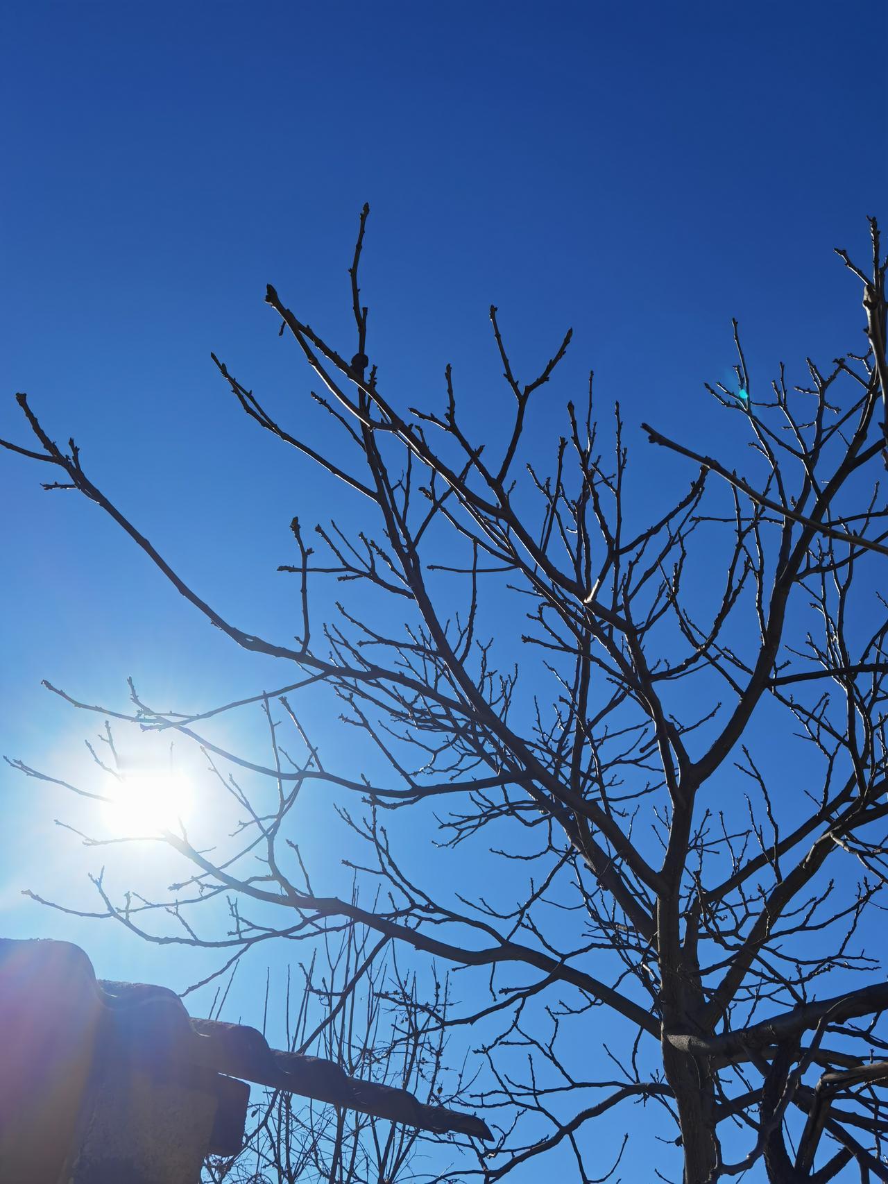 有没有清晨阳光，天空蔚蓝图