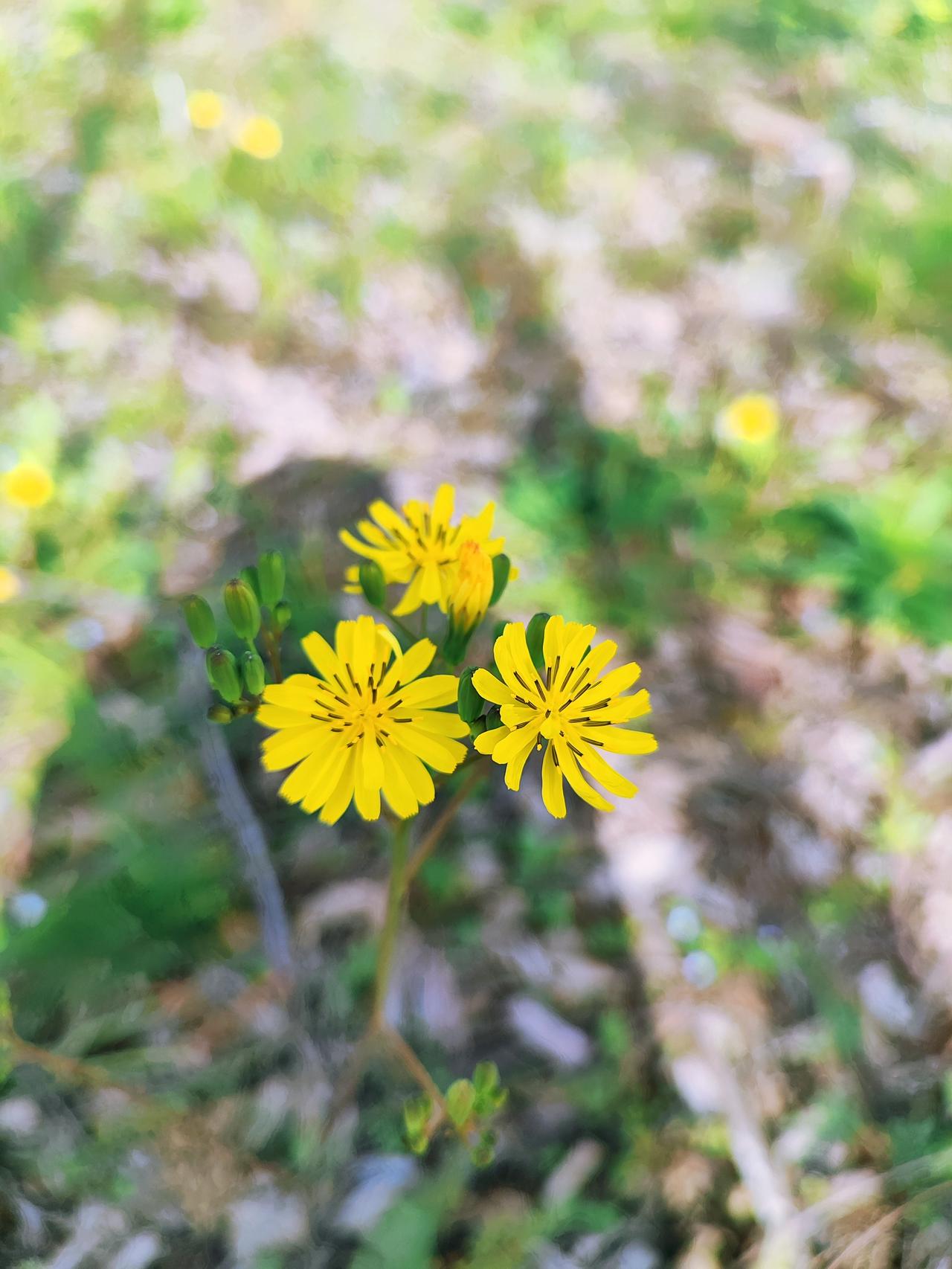 人生本过客，得失皆随缘。你怎么看人生本就是一场匆匆路过，得失本就无常，不必为得到