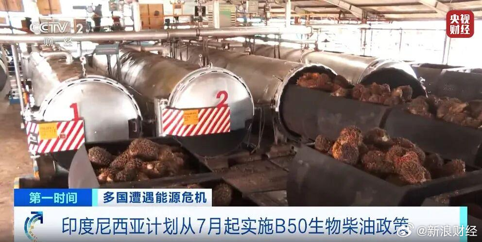 油价存在失控风险【中东冲突抢走餐桌的油】随着传统柴油成本上升，亚洲多个棕榈油生产