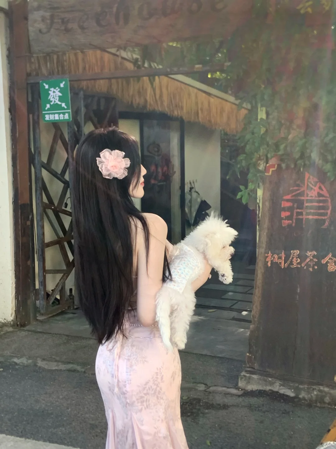 好喜欢抱小狗✧੯•́໒꒱