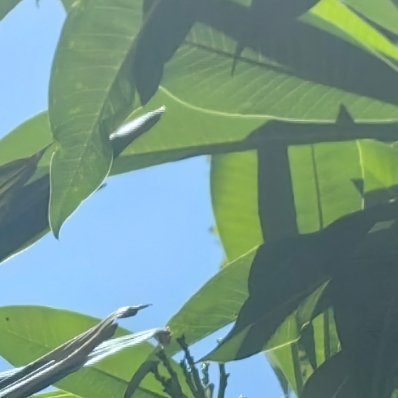 每日一善 每一个孤独的时分，每一个冷眼鄙夷自己的时刻，每一个清晨与黎明，黄昏和傍