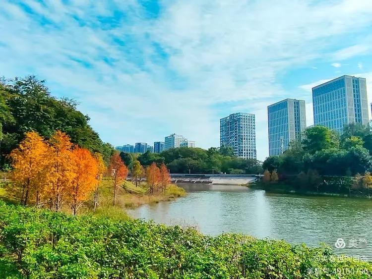 2026最想实现的一件事生活简简单单，开心快乐才是真