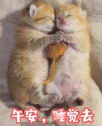 好困呀！再坚持8分钟，下班可以睡一下！ 