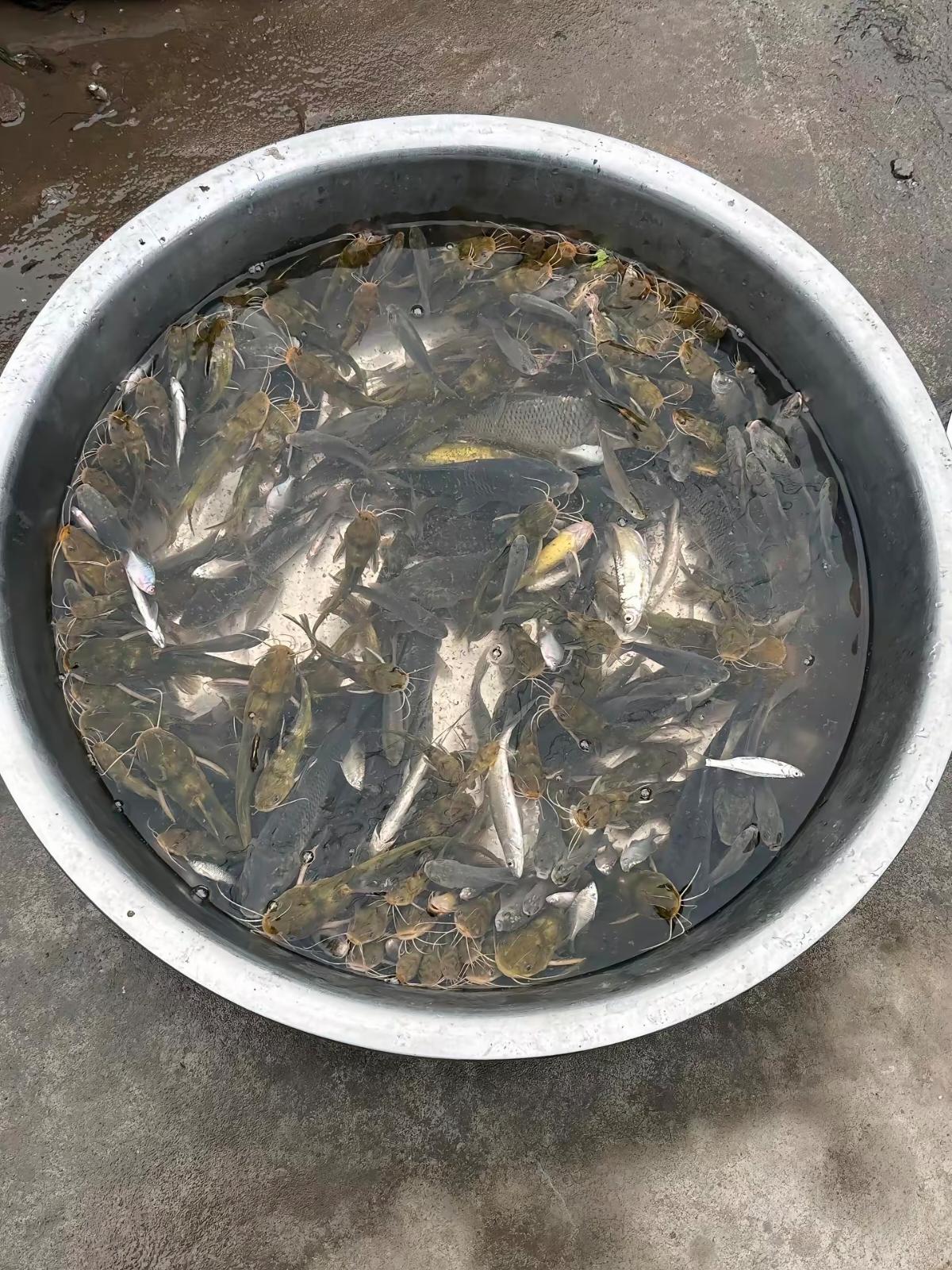 一晚上的收获