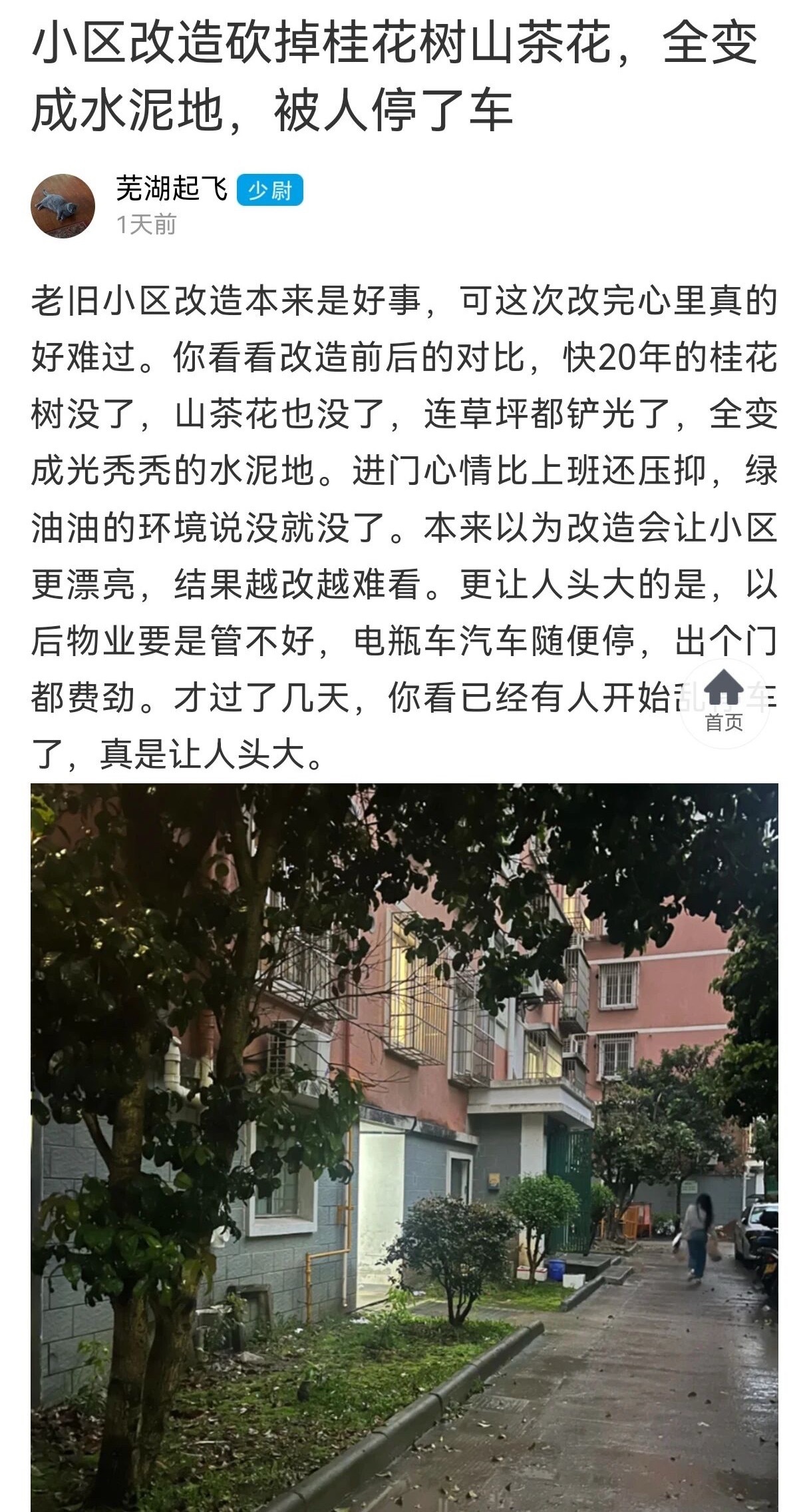 宁波业主吐槽小区改造把28年的树砍了浇成水泥地宁波业主吐槽小区改造后，快20年的