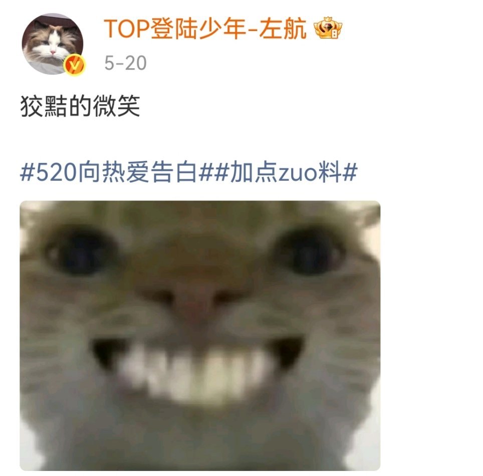 正数第一爱用小猫表情包之人左航一路向海的少年