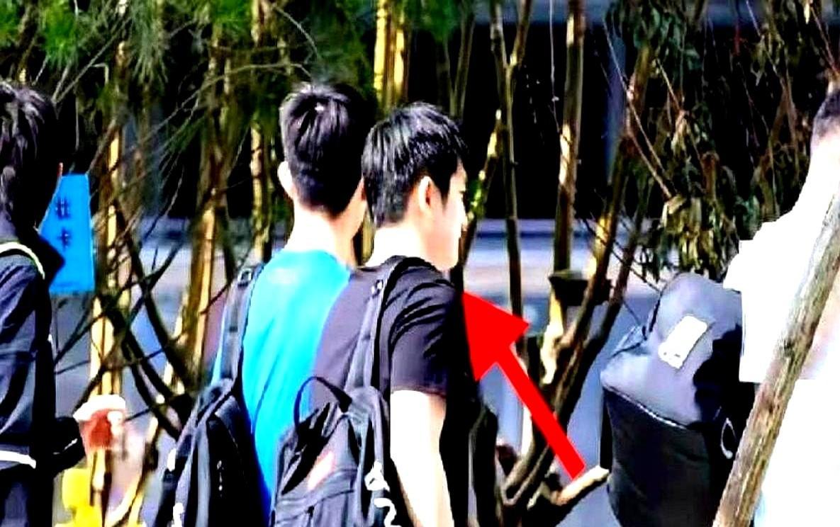 樊振东走了，去德国打球了，可让人意想不到的是，才去了仅仅不到10天，他又回来了！