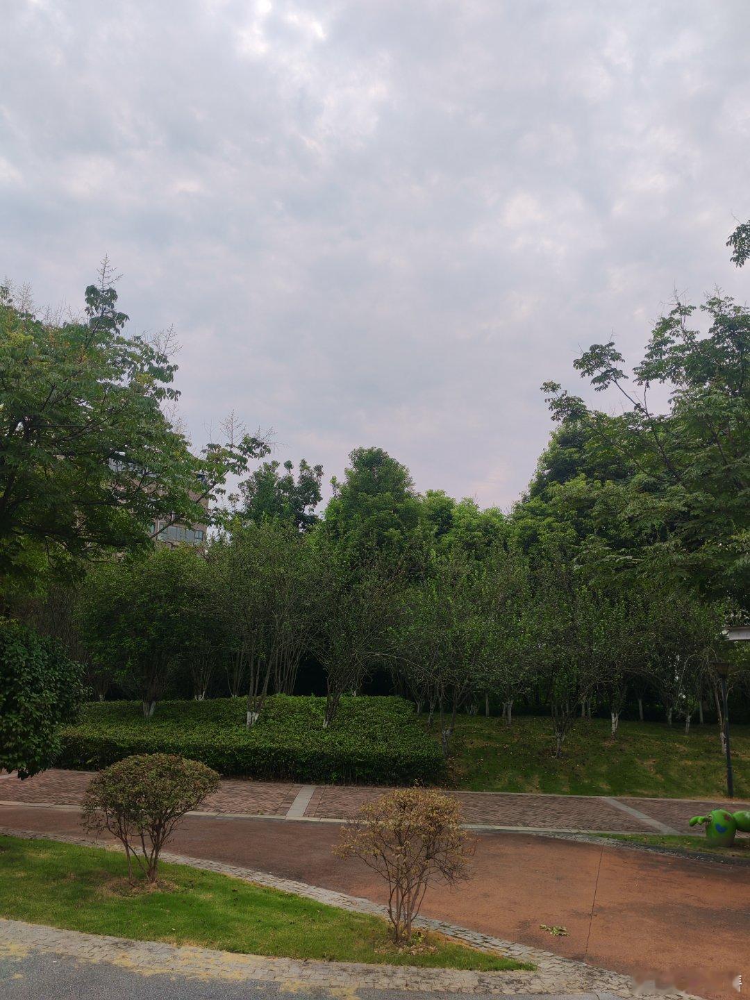 今天阴天，公园路练八段锦两遍，心里有事，就没法做到专注于眼前的事，还得加强。 