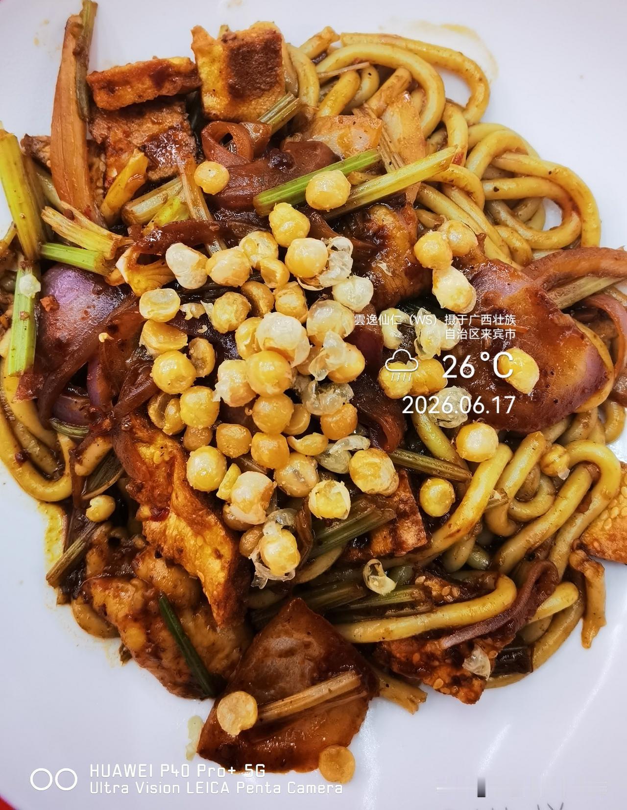 月居生活记录（9937）广西壮族自治区来宾市（162）品尝小吃63：新疆鸡肉+馕