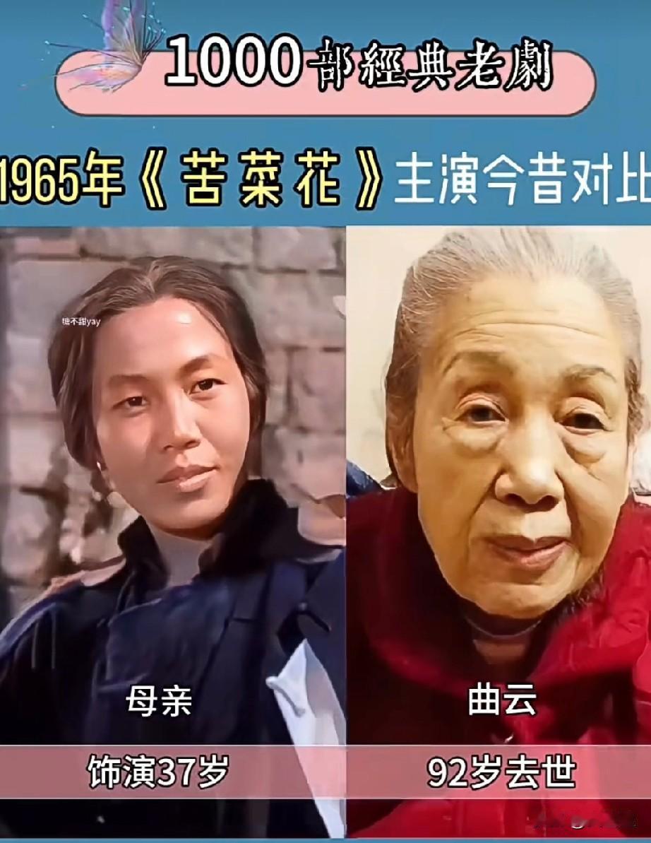 1995年《苦菜花》
主演今昔对比
你更喜欢谁？