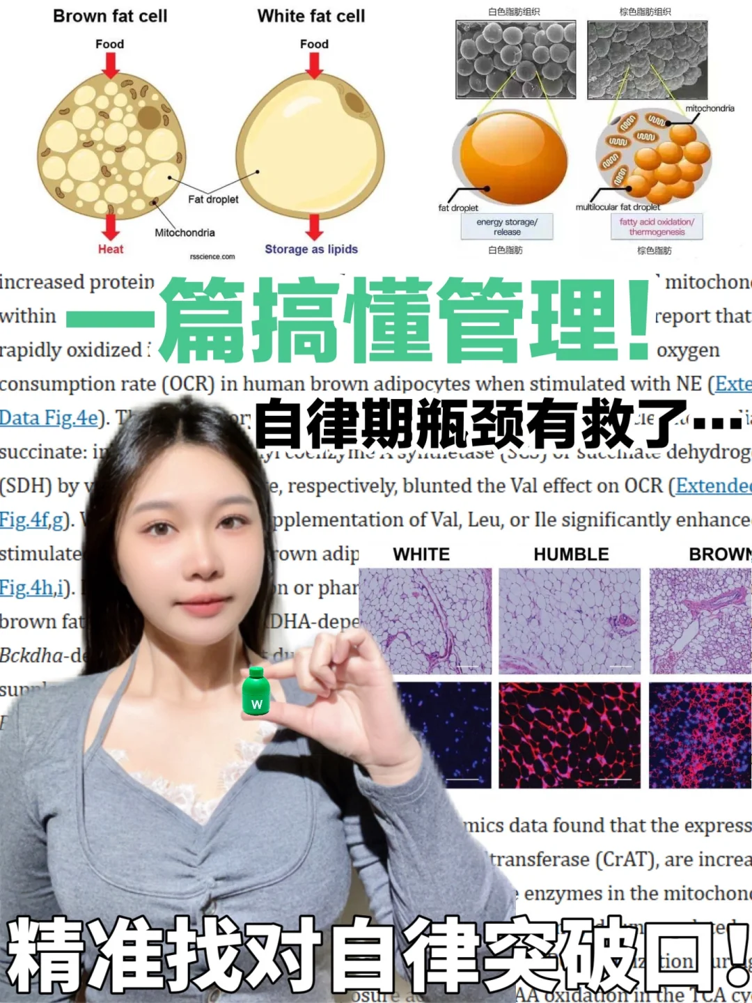 打破管理无用僵局！搞懂脂肪原理少走弯路