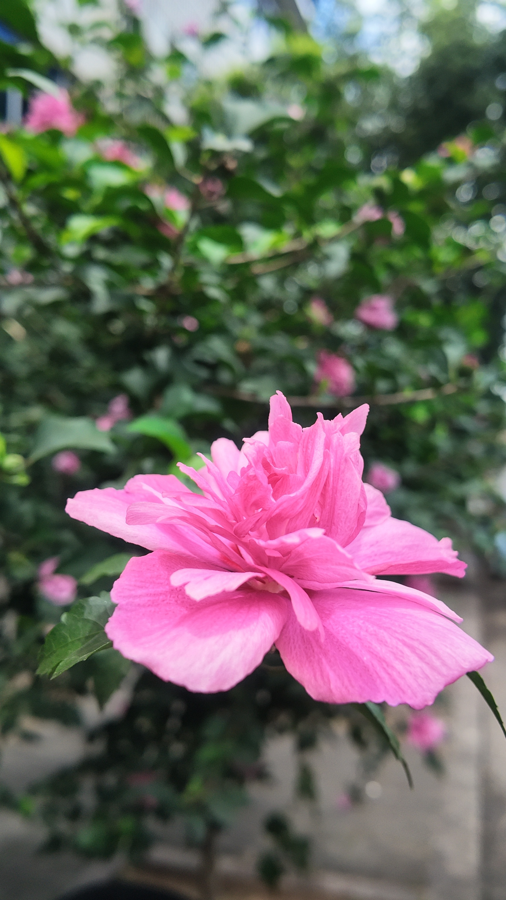 去爱具体又普通的日子吧 