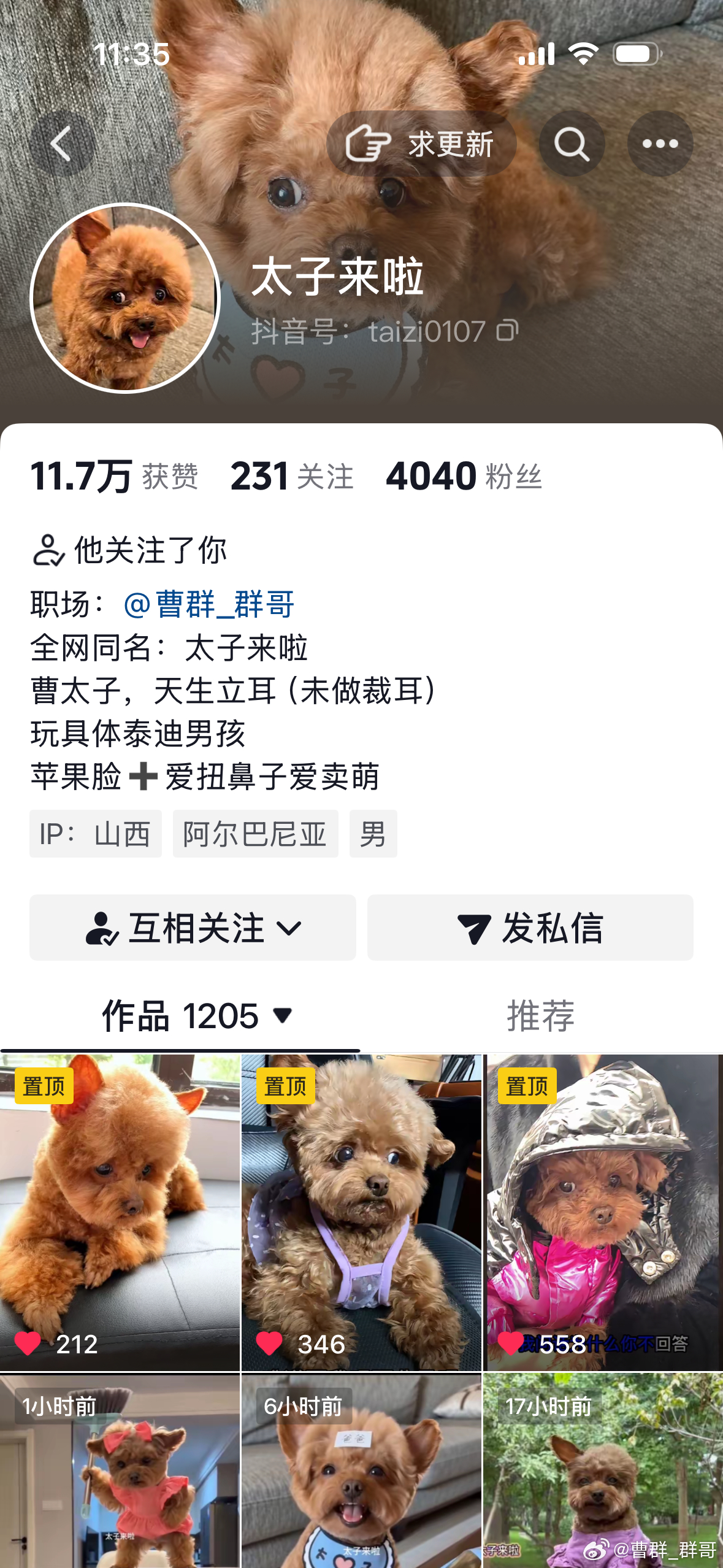 好一致的粉丝量哈哈哈哈。4040谢谢大家喜欢太子猪咪