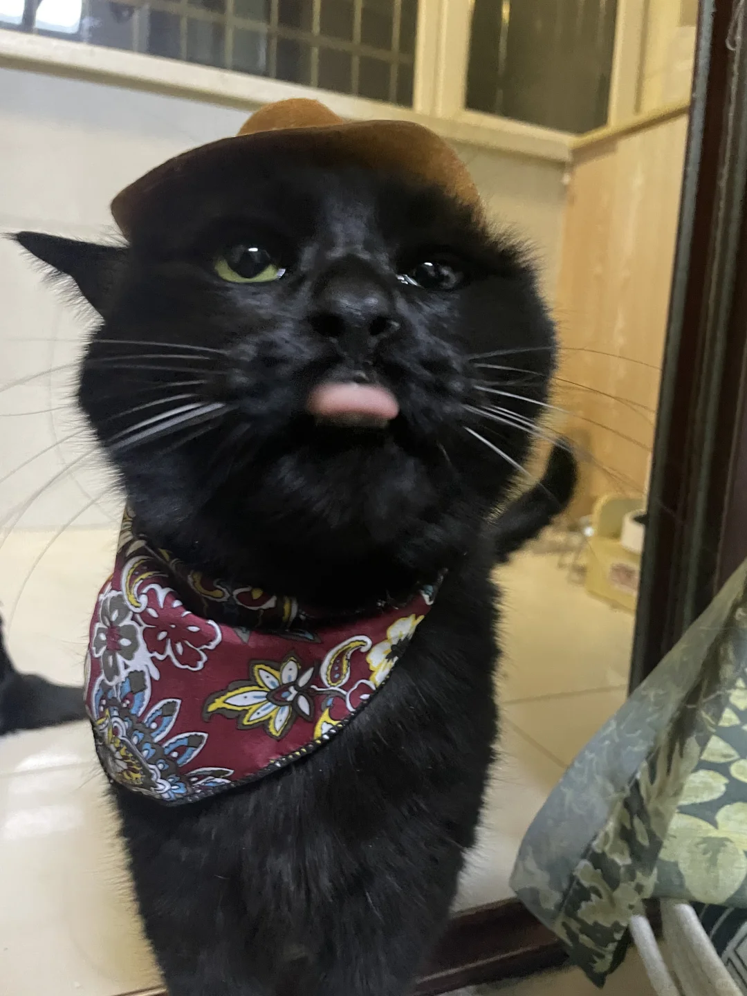 请问咪帅吗？不帅删了…