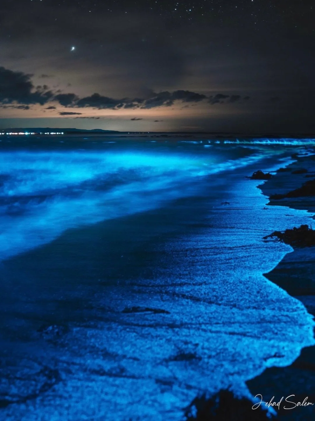 澳大利亚可遇不可求的蓝眼泪💙宛若星空银河