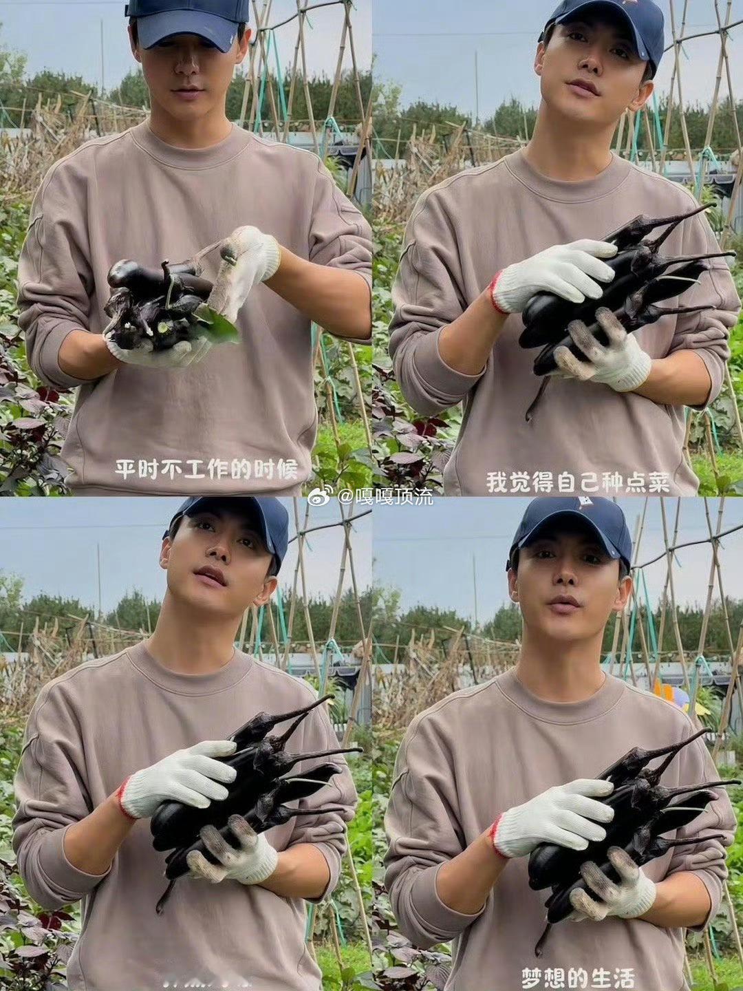 马天宇一次挖出了10个红薯  谁能想到挖红薯这么上头！马天宇在《山水间的家》上演