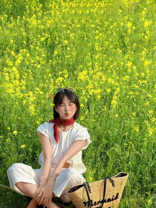 不小心闯入宫崎骏的夏天