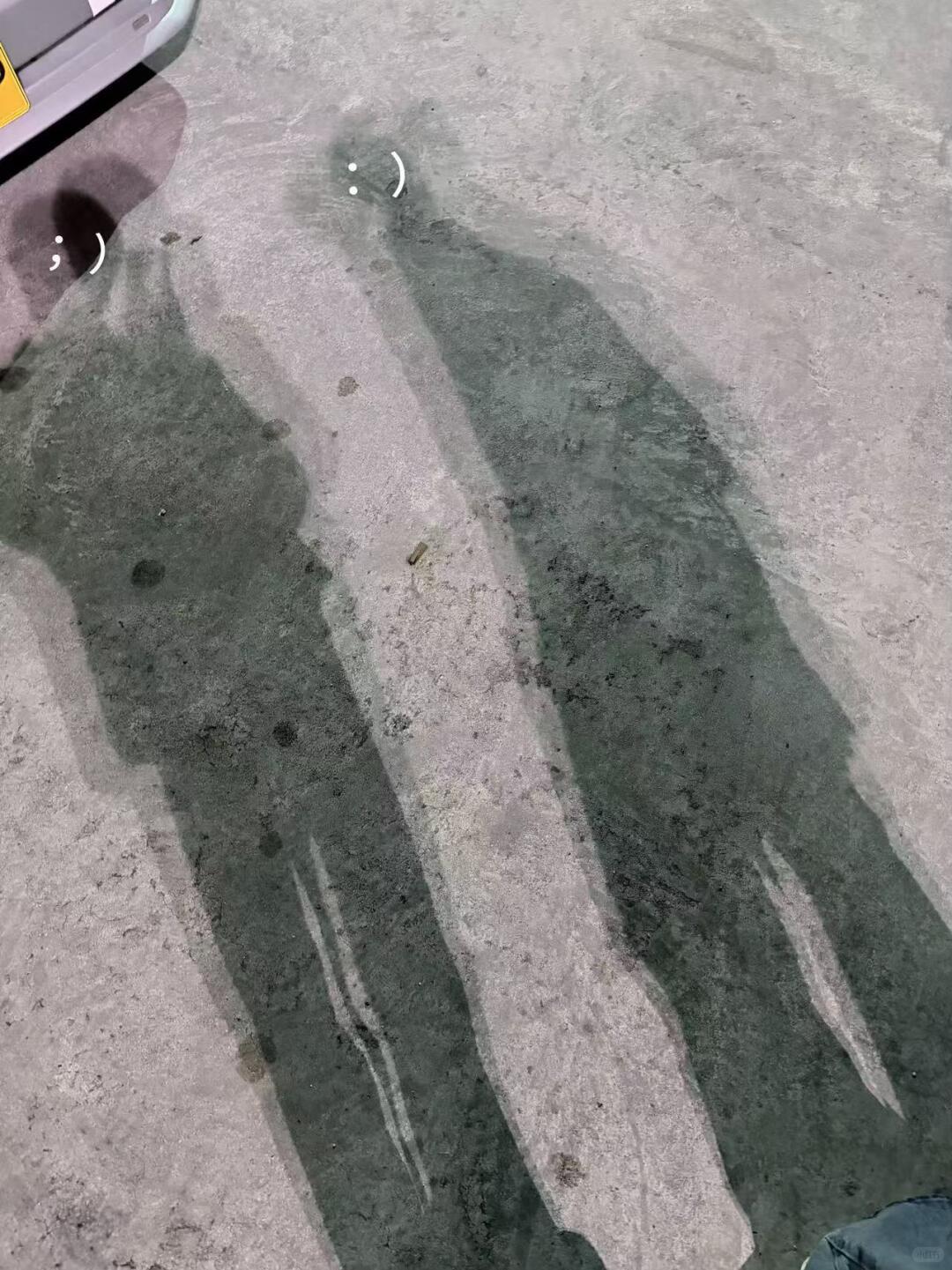 我咋办呢我还在品味网页链接