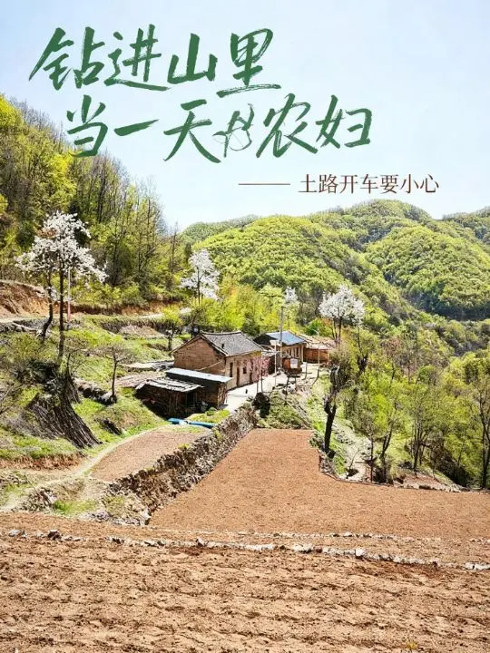山花烂漫正当时 山村美景 古村落风景 花季山景 山花烂漫