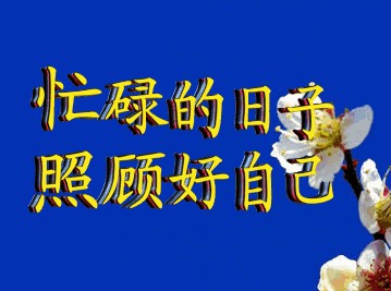 生日快乐我的老母亲