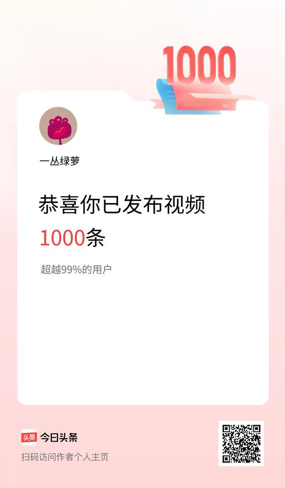 我在头条累计视频投稿1000个