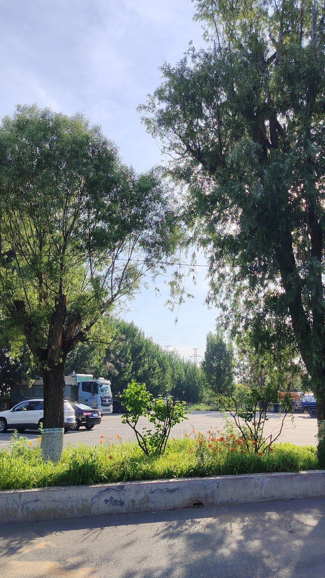 春风化雨：以善念待人，如春风拂面。心学教我们致良知，用温暖化解冷漠。禅语：一花一