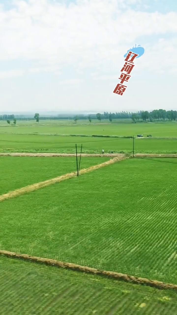 我去了好几趟。