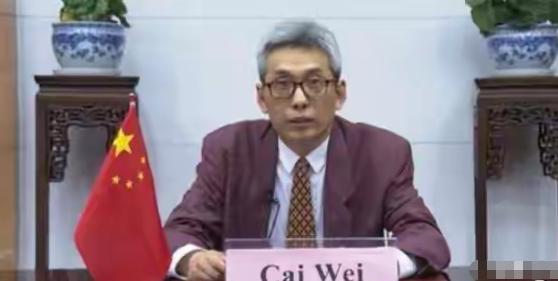 [微风]外交部领导班子突发变动，亲历休斯顿总领馆关闭，荣立集体三等功，老外交人蔡