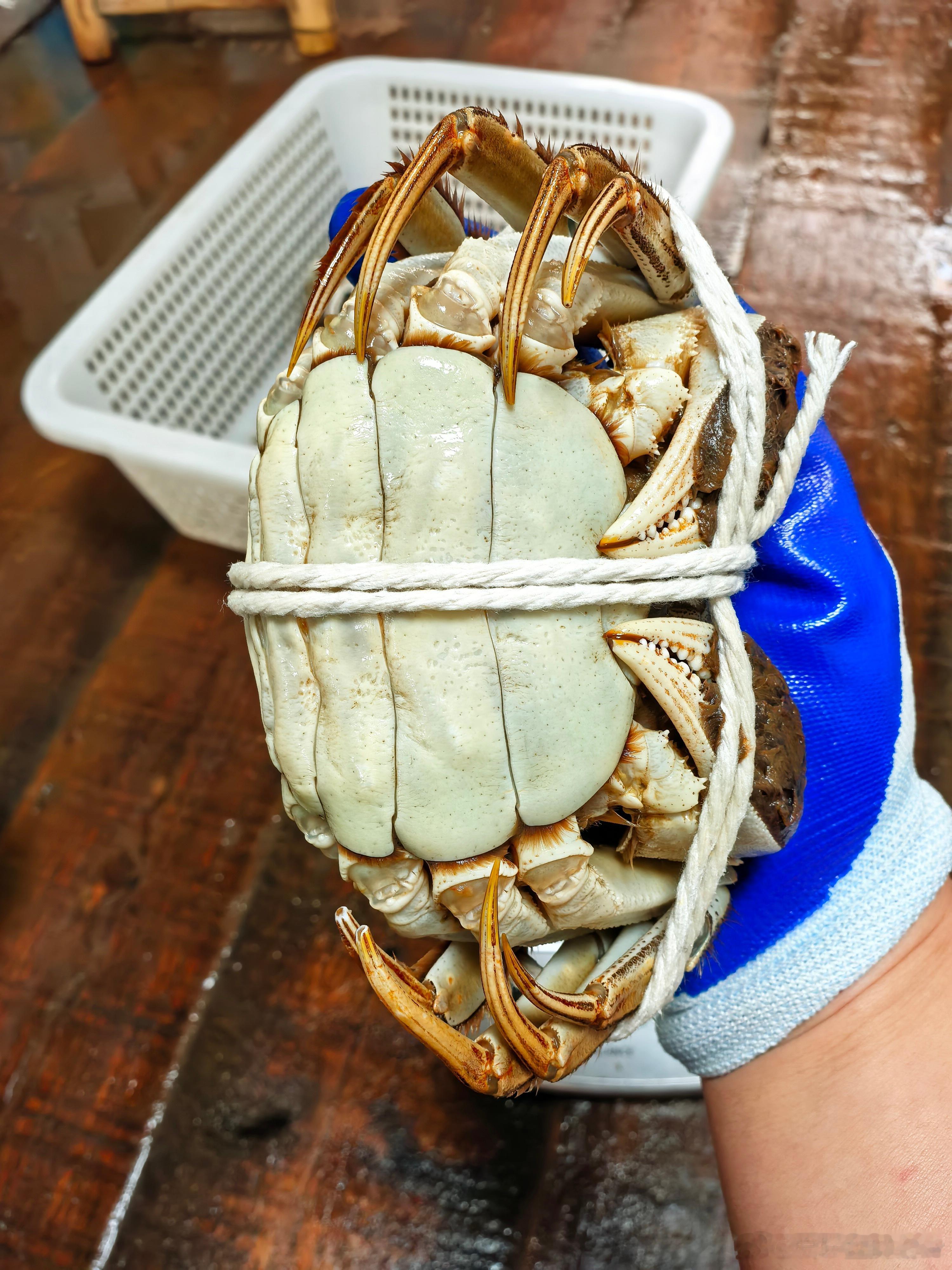 正宗湖蟹，太肥美了，自己吃，送亲戚，送朋友，送领导，送客户，都很完美！双11母蟹