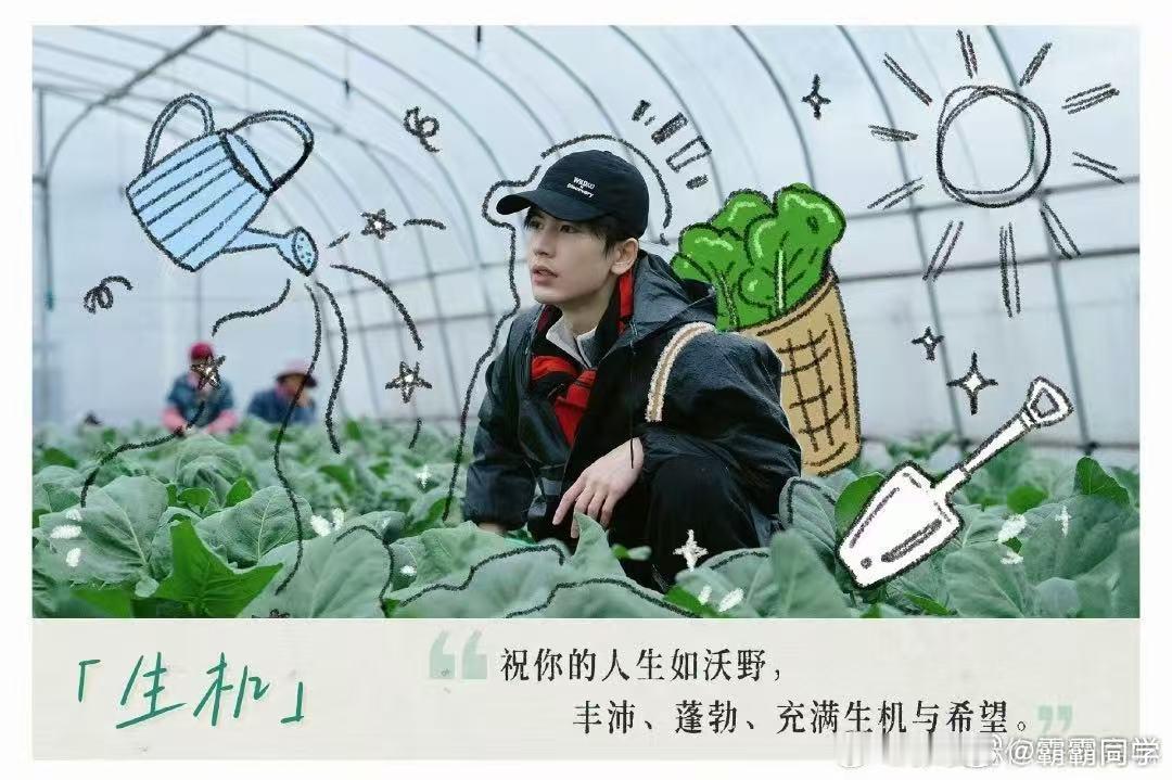 张凌赫凌探未来先导预告片从电气专业学子到电力实习体验，张凌赫重回故乡风机之下，用