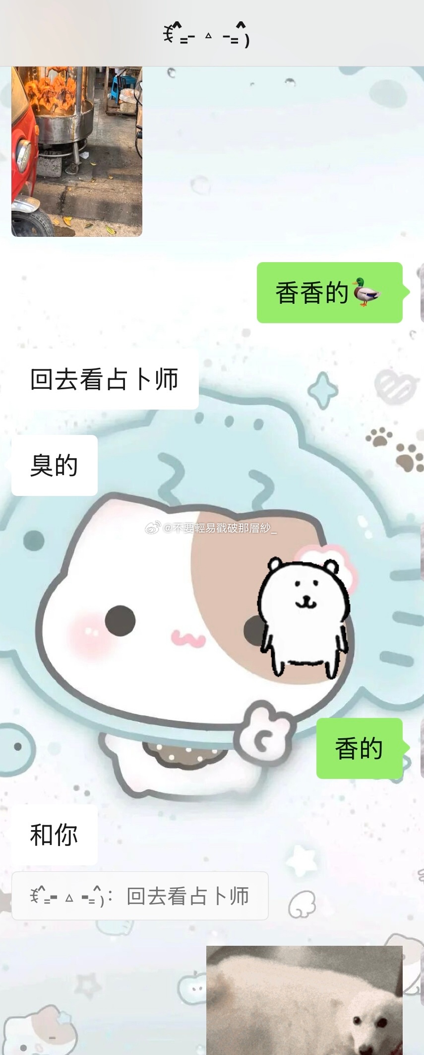 22049xxj泥这是什么意思呀！ 