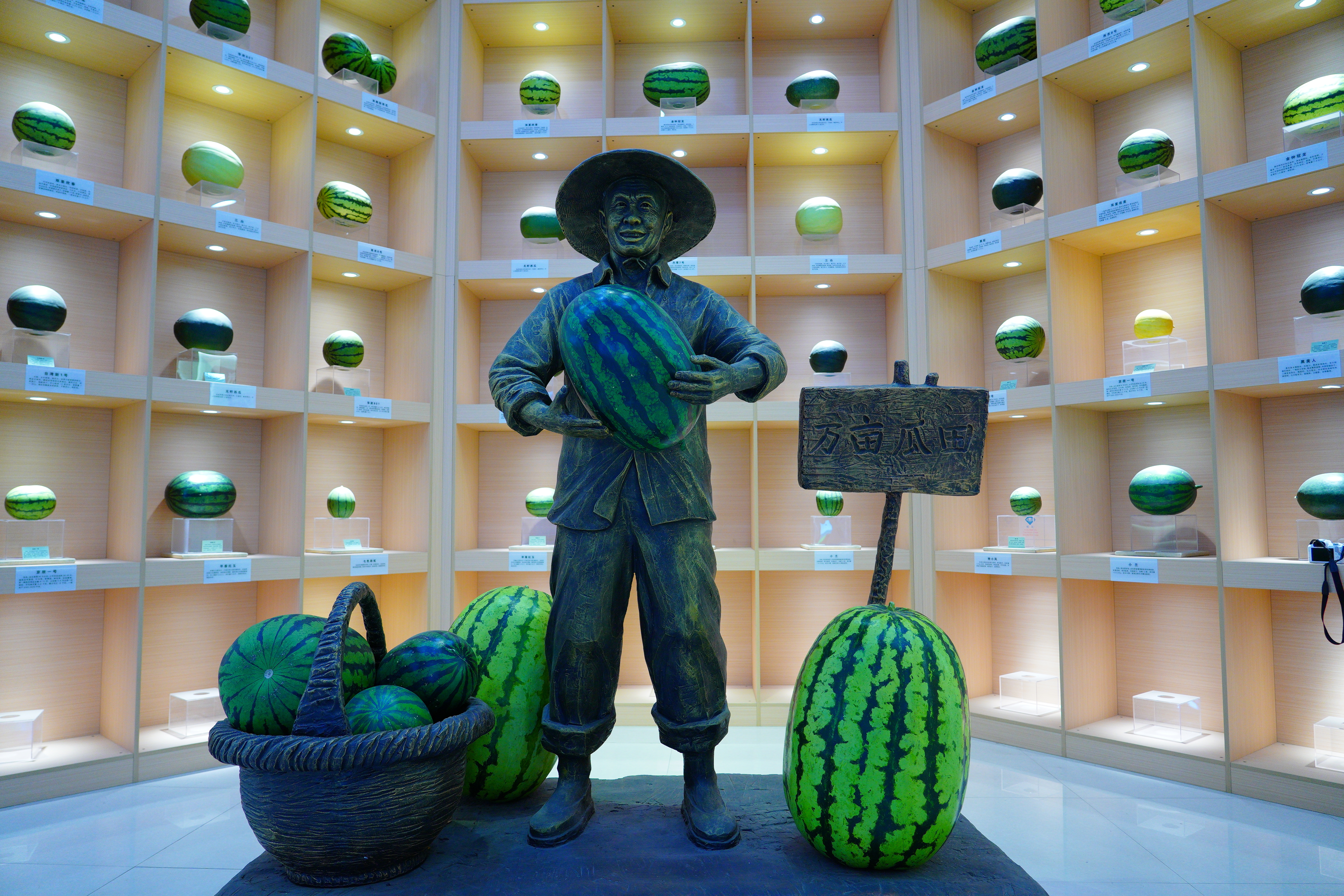 了不起的山东菜博会相聚聊城第二届山东菜博会第二届山东绿色蔬菜博览会从品种展示到智