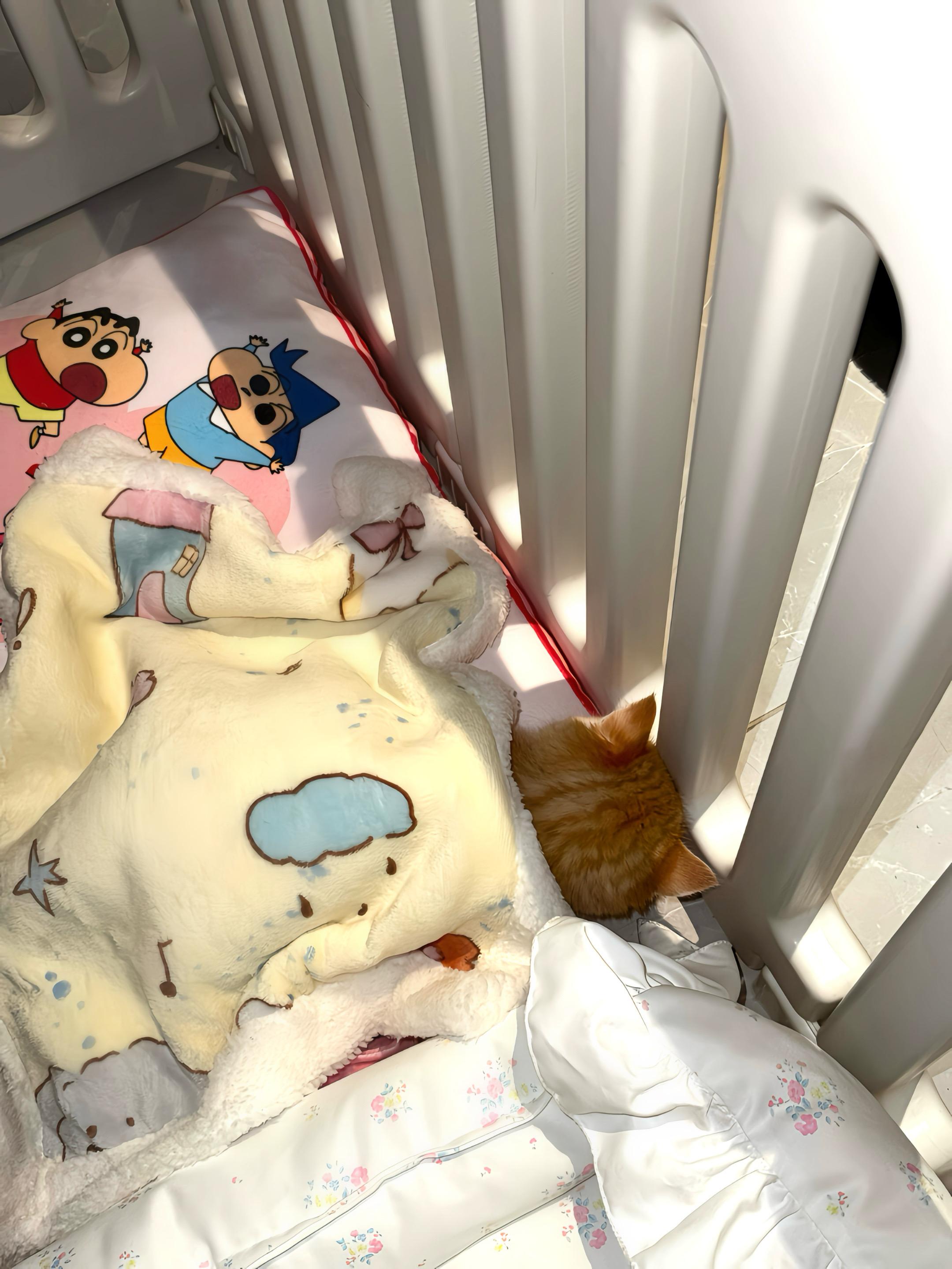 老公为我拿下一只小宝宝