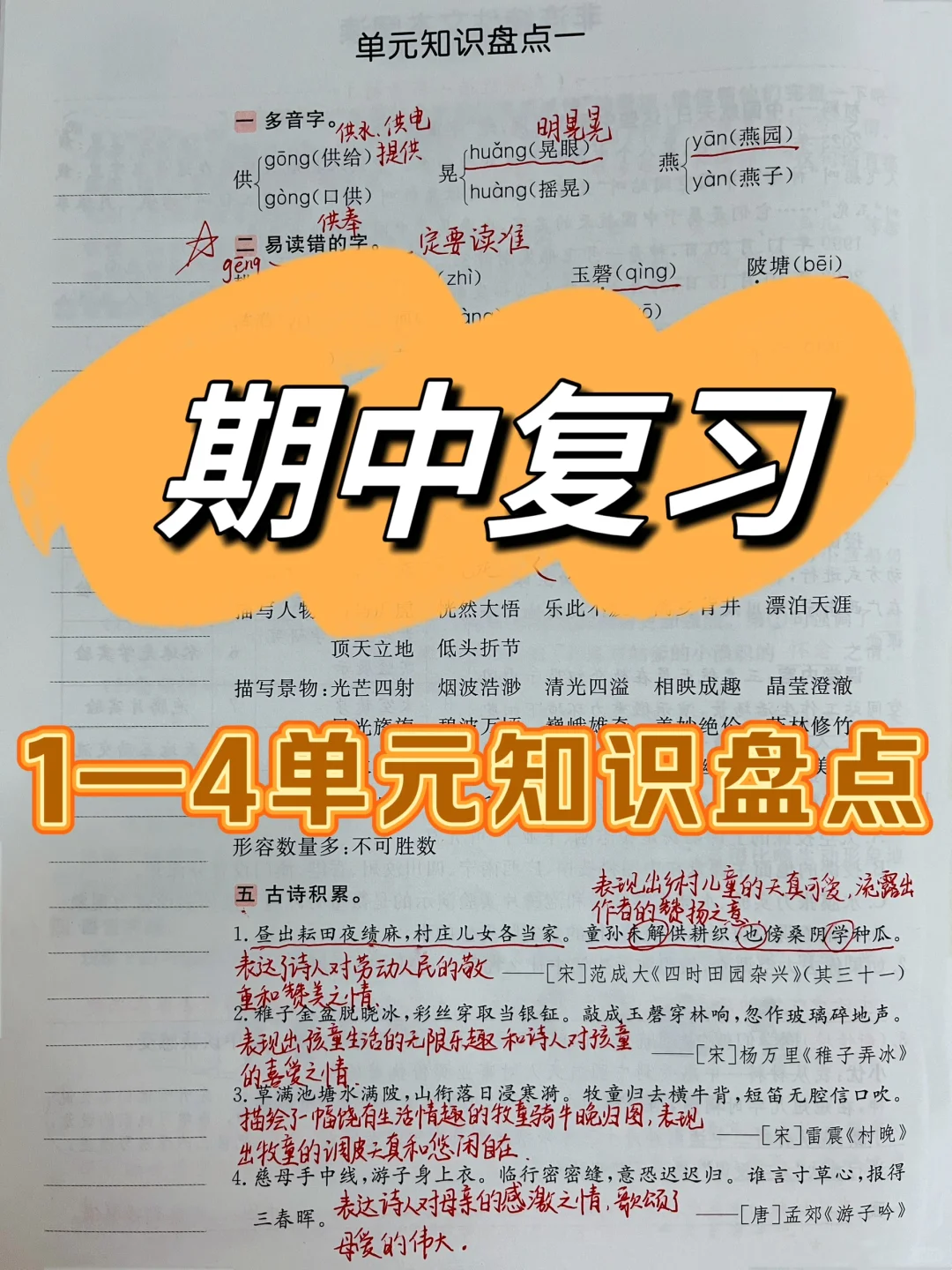 2024年五年级｜期中复习——单元知识清点