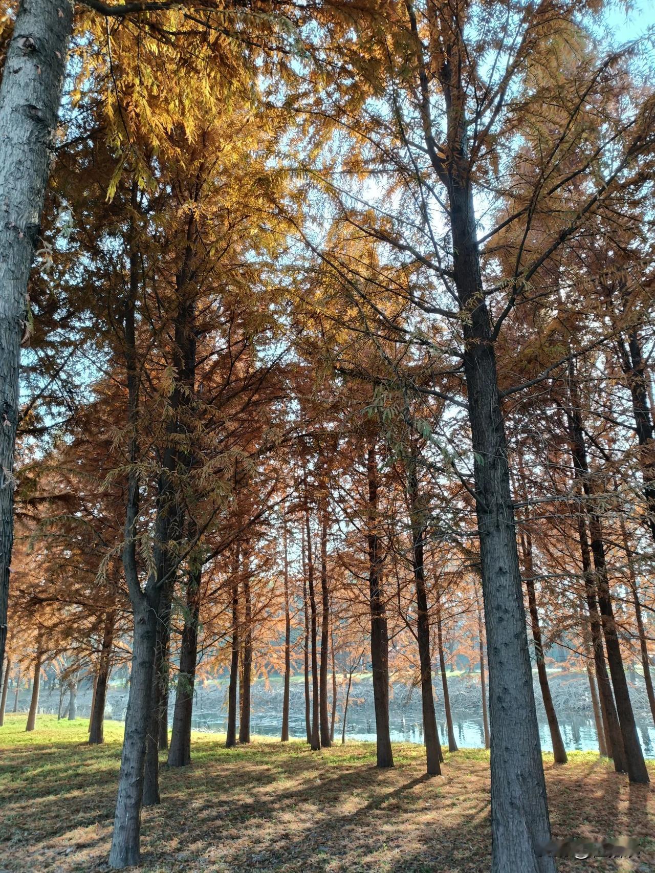 北方人看两南方人口角，得急死，吵半天了还在那叨叨。[笑哭]
南方人看北方人口角，