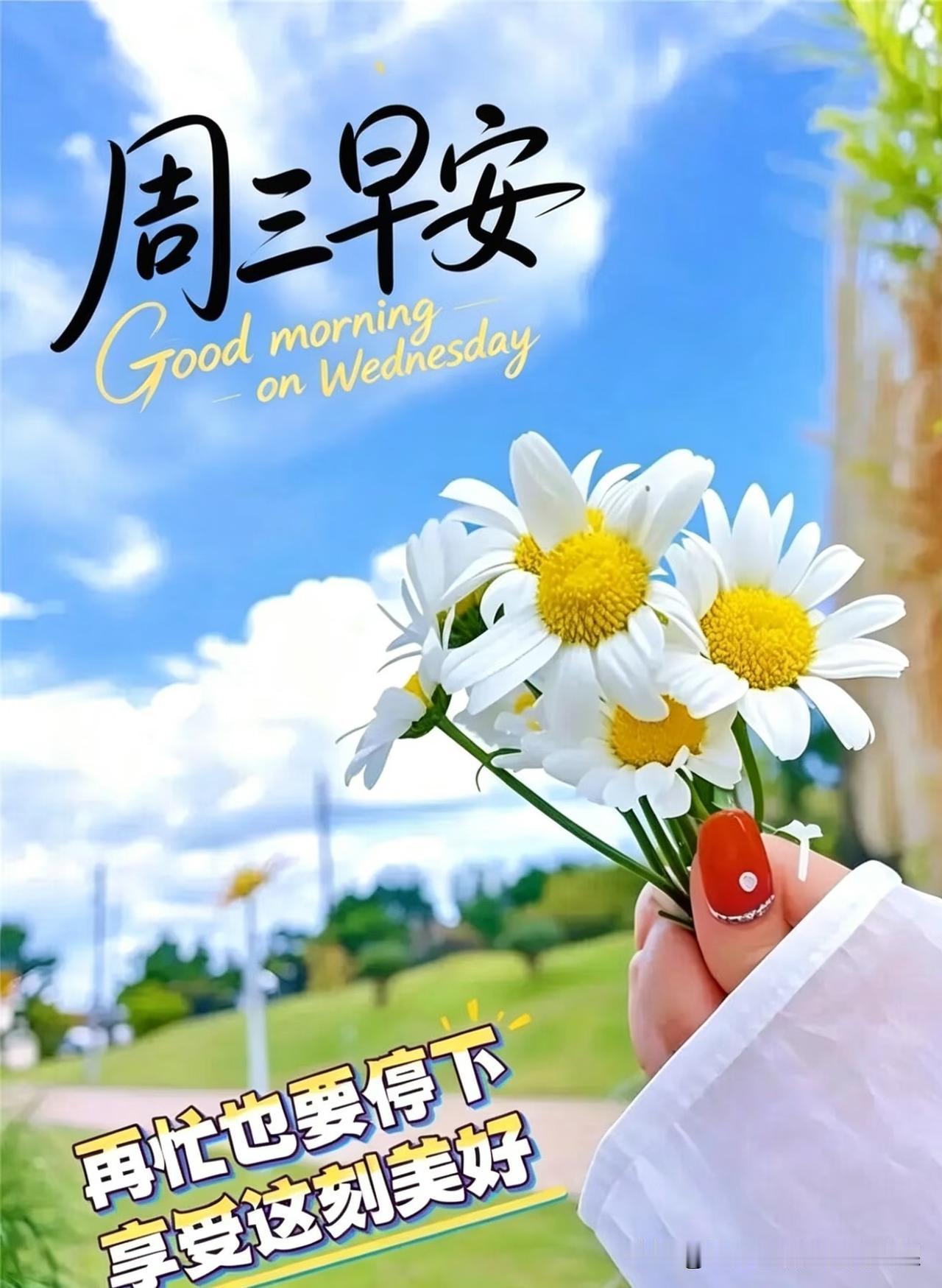 周三早安🌷
时光缓缓，不慌不忙。
看淡琐碎烦恼，守住心底暖阳。
愿每一天，温柔