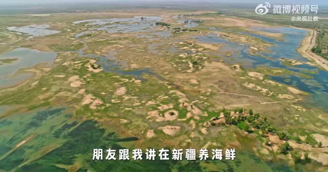 新疆海鲜养成记奇迹中国真的为祖国的智慧和实力狠狠骄傲住了，远离海洋两千五百多公里