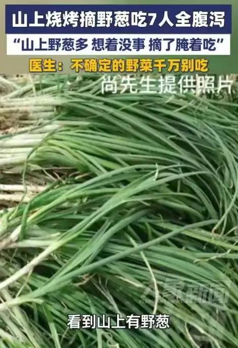 悲剧现场，竟因一把“野葱”上演真人版“烧烤翻车”！

河南驻马店，7个哥们儿结伴