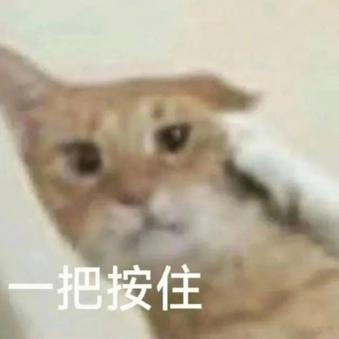搞笑表情包。 