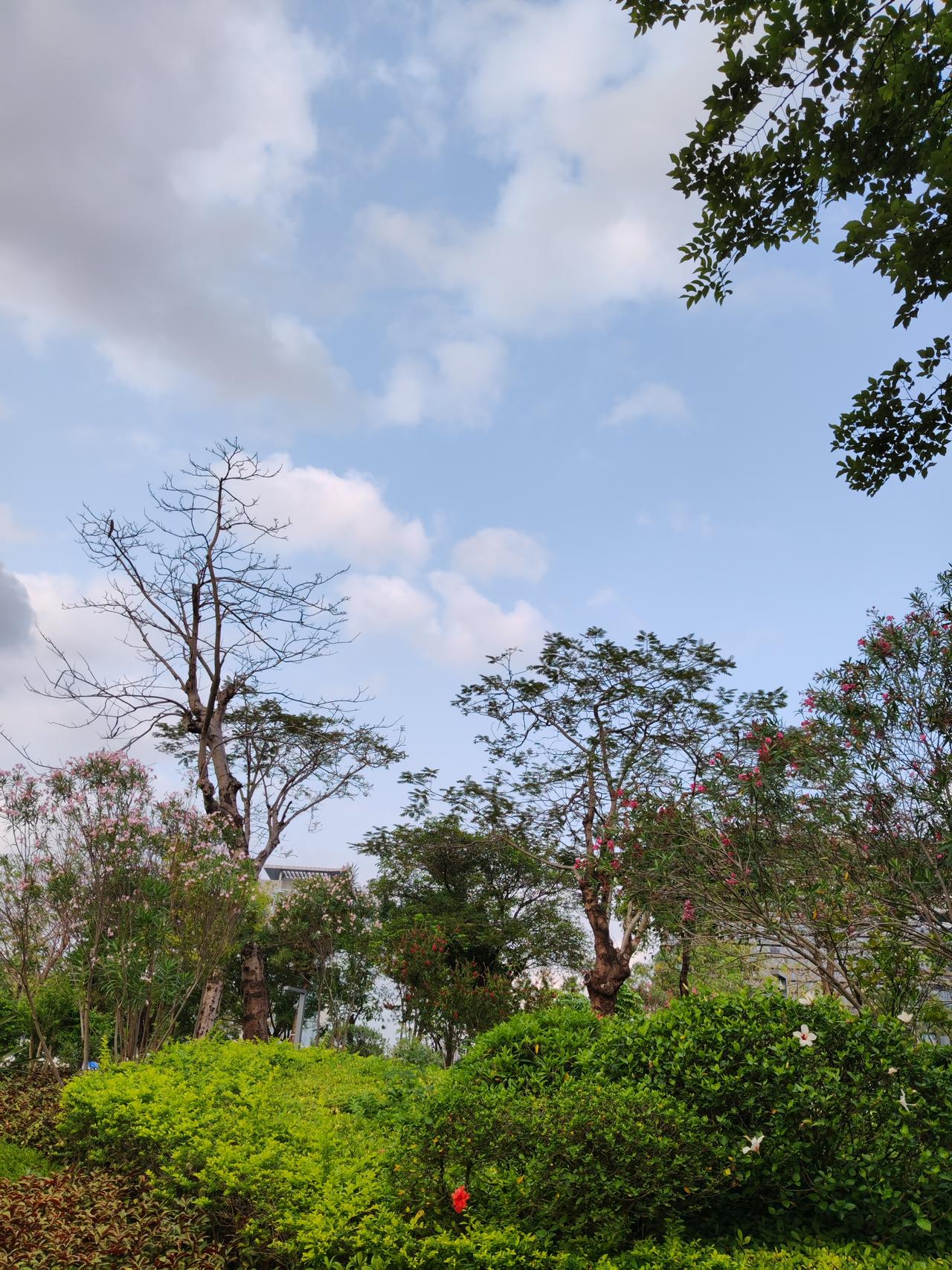 在“慢牛长牛”行情里，投资者想获利可不容易。我觉得首先得有长期投资的理念。就像巴