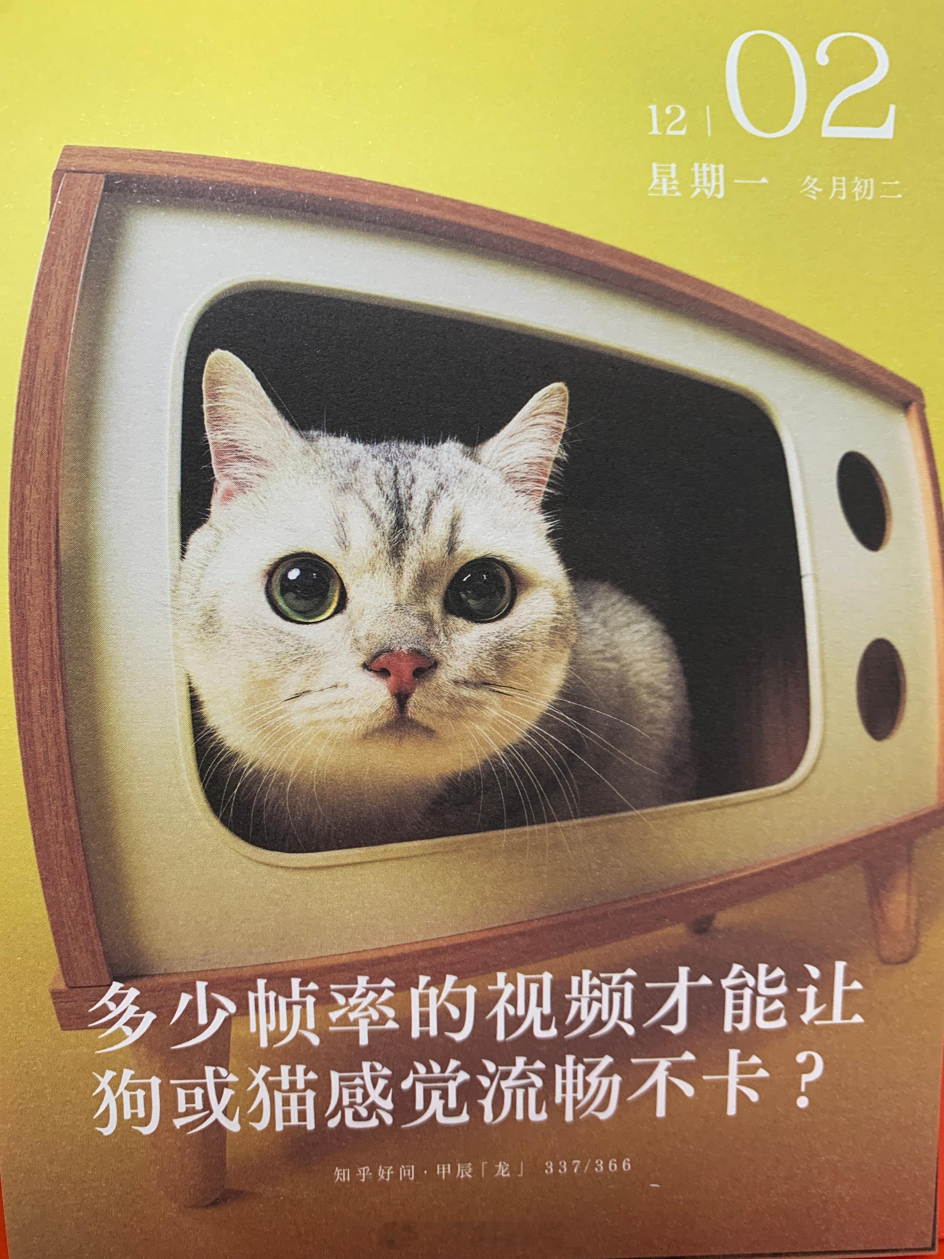 朋友们周一加油！ 