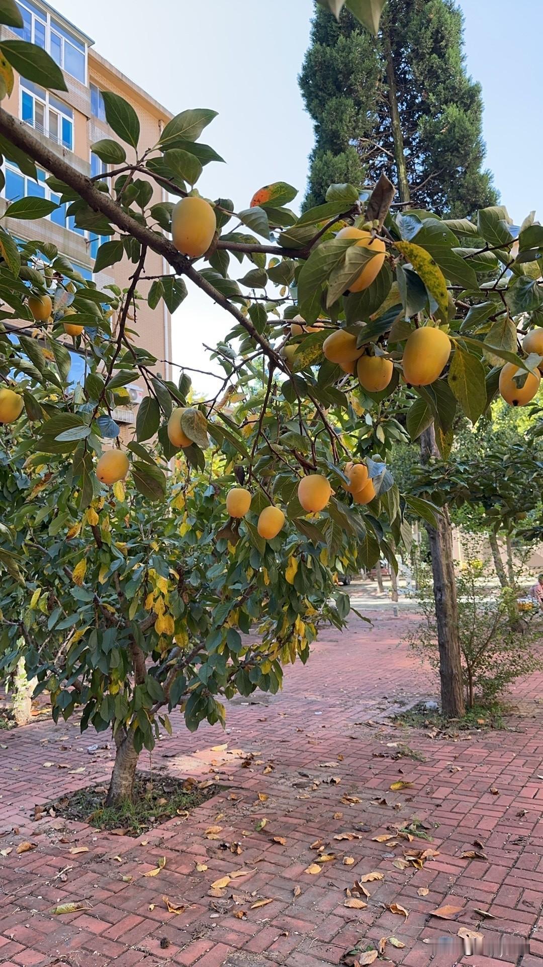 “当你接手一项新工作时，不要犹豫和退缩，不要担心自己能力不足而无法胜任。坚持奋斗