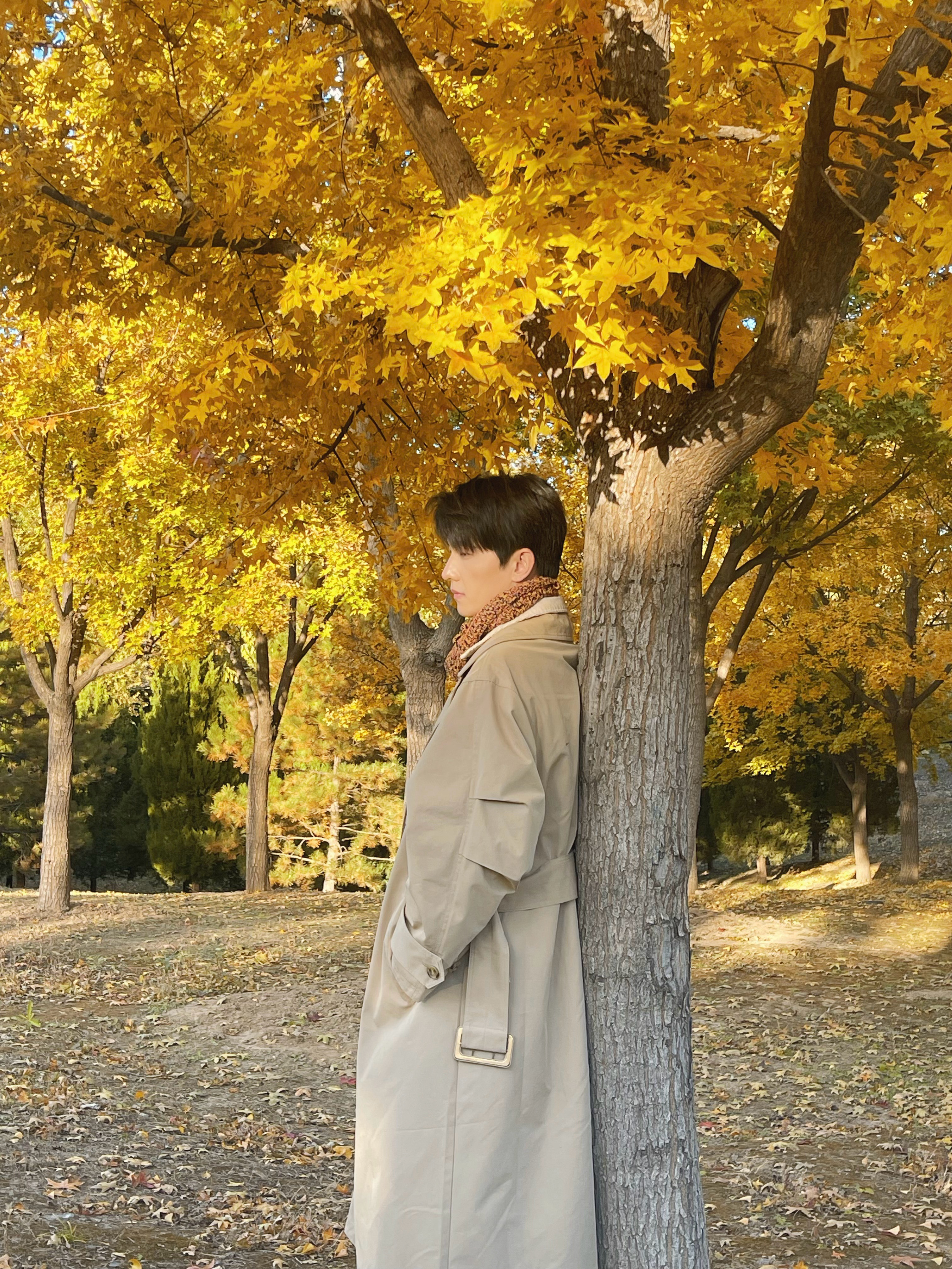 杨洋[超话]  live photo 🍁 [流鼻血] ​​​