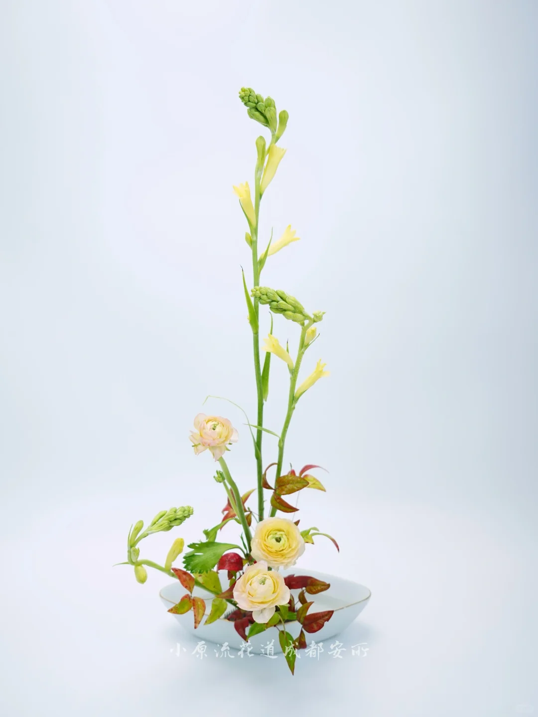 至此鲜花赠自己，纵马踏花向自由