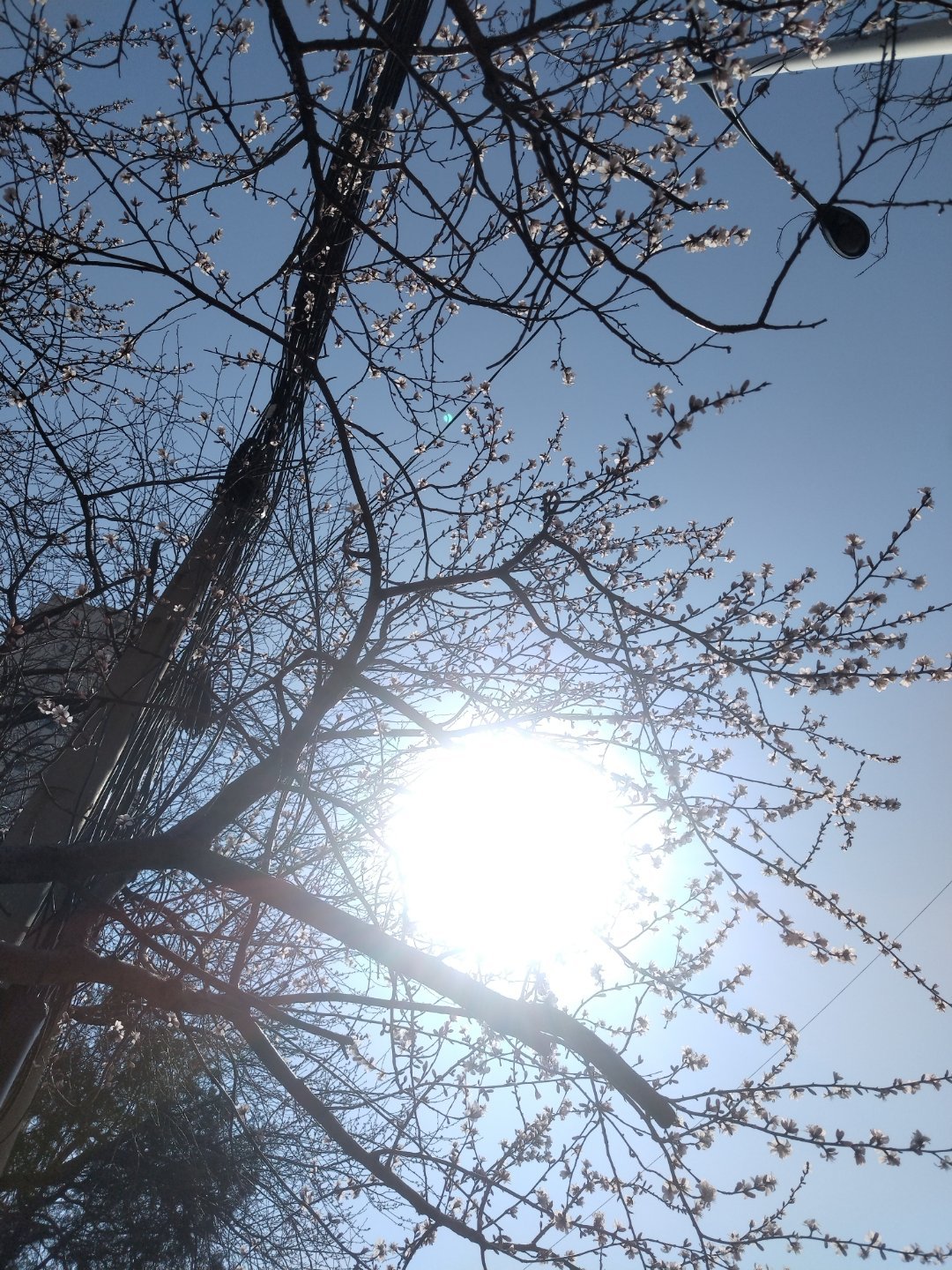 春天来了～ 